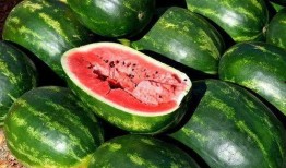 校园吃瓜视频素材下载免费,揭秘校园吃瓜视频背后的故事