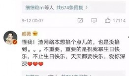 娱乐圈吃瓜爆料刘恺威,揭秘背后的真相与传闻